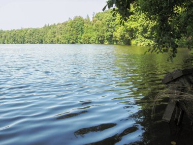 Çek Cumhuriyeti 'nin Konopiste Şatosu kıyısında küçük bir göl