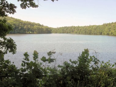 Çek Cumhuriyeti 'nin Konopiste Şatosu kıyılarında küçük bir göldür.