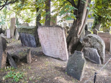 Çek Cumhuriyeti 'nin Prag bölgesindeki Pinchas Sinagogu yakınlarındaki eski Yahudi mezarlıklarında.