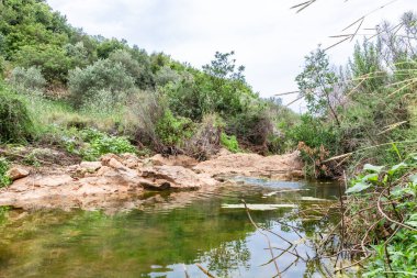 İsrail 'in kuzeyindeki hiç kurumayan sığ Tzalmon deresinde küçük bir eşik.