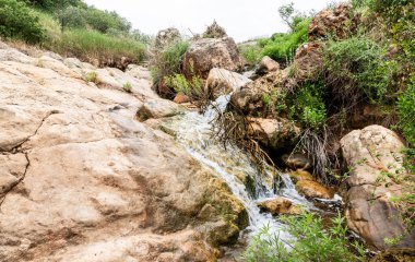 İsrail 'in kuzeyindeki hiç kurumayan sığ Tzalmon deresinin üzerinde küçük bir şelale.