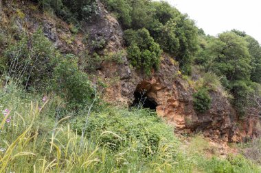 Kuzey İsrail 'deki hiç kurumayan sığ Tzalmon deresinin kıyısındaki küçük bir mağarada.