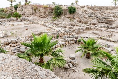 Şehir binalarının taş duvarlarının kalıntıları İsrail 'in kuzeyindeki Yokneam şehrinin yakınlarındaki Megiddo sahasının Kenan Kalesi kazısında bulundu.