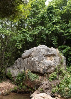 Küçük bir kaya, İsrail 'in kuzeyindeki Tsomon deresini asla kurutmadan sığ suların üzerinde asılı duruyor.