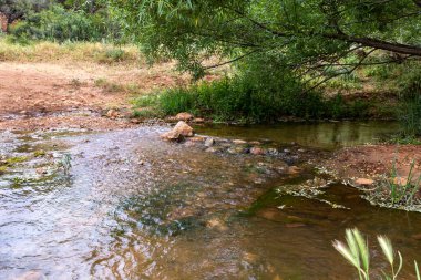Yeşillik ve ağaçlarla kaplı sığ kıyılar İsrail 'in kuzeyindeki Tsomon deresini asla kurutmaz.