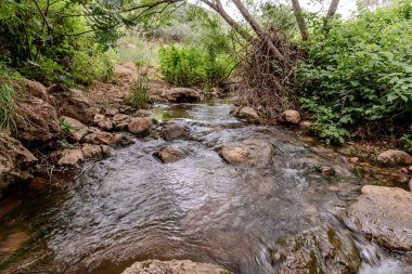 Sığ ve asla kurumayan Tsomon deresi, yeşilliklerle kaplanmış bankalar arasında akar. Kuzey İsrail 'de