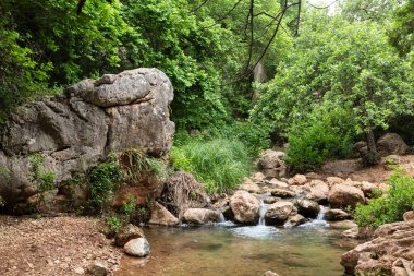 İsrail 'in kuzeyinde asla kurumayan sığ bir şelale.