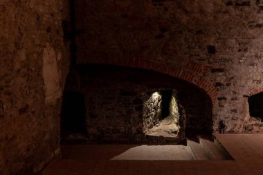 Çek Cumhuriyeti 'ndeki Vysehrad Prag' daki kalenin altındaki zindanda büyük salon.