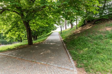 Çek Cumhuriyeti 'nin Vysehrad Prag kentindeki bölge parkına yeşil çimenlik ve yürüyüş yolu