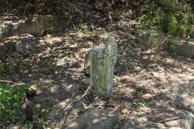 İsrail 'in kuzeyindeki Kiryat Tivon kenti yakınlarındaki Beit Shearim mezarlığı yakınlarında MS 2. yüzyıldan kalma sinagogdaki taş sütun parçası.
