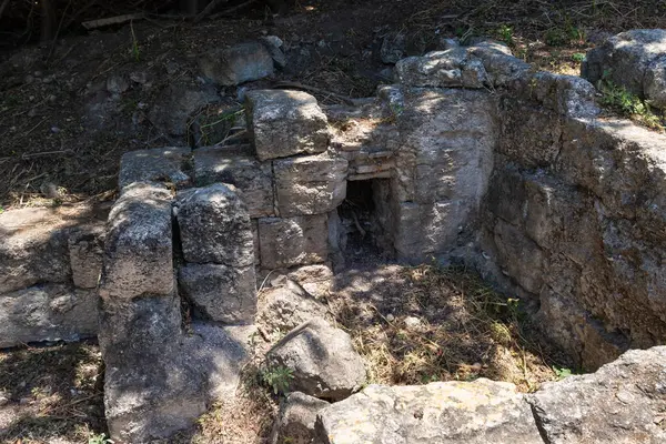 stock image Ruins of a stone basement of synagogue from 1st 2nd centuries AD near Beit Shearim necropolis near Kiryat Tivon city in northern Israel