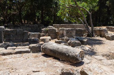 Stone fragments of inner rooms of synagogue from the 1st 2nd centuries AD near Beit Shearim necropolis near Kiryat Tivon city in northern Israel clipart