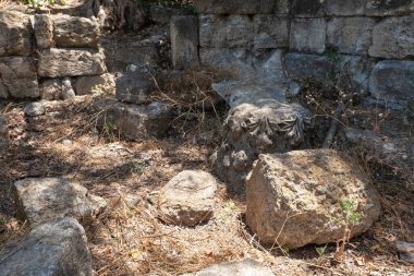 İsrail 'in kuzeyindeki Kiryat Tivon kenti yakınlarındaki Beit Shearim mezarlığı yakınlarında MS 2. yüzyıldan kalma sinagogun iç odalarının taş parçaları.