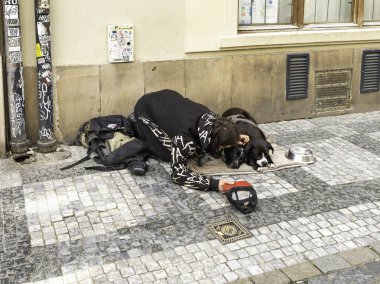 Prag, Çek Cumhuriyeti, 12 Mayıs 2024: Çek Cumhuriyeti 'nin Prag kentindeki Celetna Caddesi' nde iki köpeği olan bir dilenci dilenci