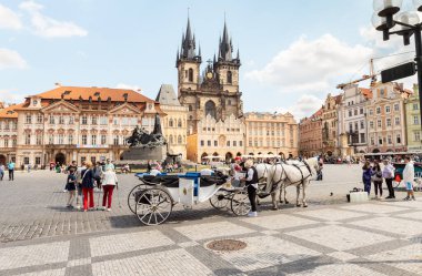 Prag, Çek Cumhuriyeti, 12 Mayıs 2024: At Çek Cumhuriyeti 'nin Prag' ın eski kesimindeki Eski Şehir Meydanı 'nda turist vagonları çekti