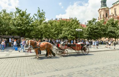 Prag, Çek Cumhuriyeti, 12 Mayıs 2024: At Çek Cumhuriyeti 'nin Prag' ın eski kesimindeki Eski Şehir Meydanı 'nda turist vagonları çekti