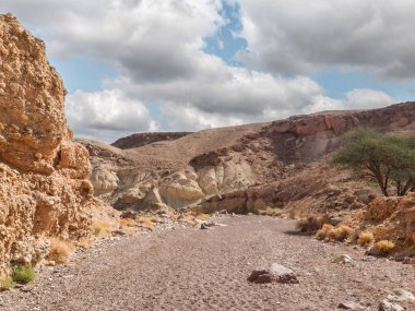 İsrail 'in güneyindeki Eilat şehrinin yakınlarındaki Kızıl Kanyon Doğa Rezervi' ndeki dağların tarifsiz görkemi.