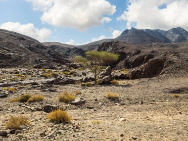 İsrail 'in güneyindeki Eilat şehrinin yakınlarındaki Kızıl Kanyon Doğa Rezervi' ndeki dağların tarifsiz görkemi.