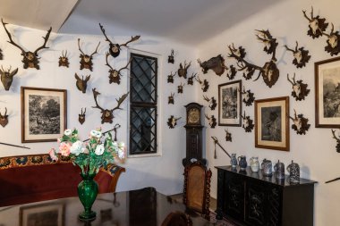 Prag, Çek Cumhuriyeti, 13 Mayıs 2024: Prag 'dan arabayla bir saat uzaklıktaki Cesky Sternberk kalesinin misafir odasının duvarlarında bir sürü boynuzlu şamdan var.