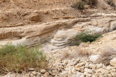 İsrail 'in güneyindeki Ölü Deniz' in yakınlarındaki Arugot Irmağı Doğa Koruma Alanı 'nın eşsiz ihtişamı.