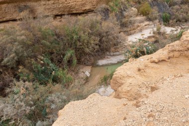 Dere yatağı İsrail 'in güneyindeki Ölü Deniz yakınlarındaki Arugot Deresi Doğa Koruma Alanı' ndaki dağların arasından geçiyor.