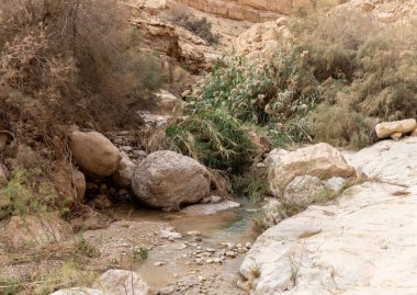 İsrail 'in güneyindeki Ölü Deniz yakınlarındaki Arugot Irmağı Doğa Koruma Alanı' ndaki hızlı akan dağ deresi.