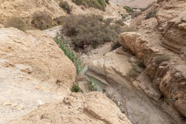 Dere yatağı İsrail 'in güneyindeki Ölü Deniz yakınlarındaki Arugot Deresi Doğa Koruma Alanı' ndaki bir dağların arasından geçiyor.