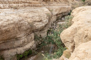 Akarsu yatağı İsrail 'in güneyindeki Ölü Deniz yakınlarındaki Arugot Deresi Doğal Rezervi' ndeki dağların arasından geçiyor.