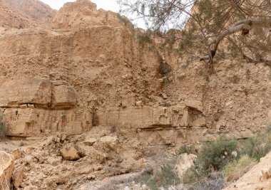 İsrail 'in güneyindeki Ölü Deniz yakınlarında Arugot Akıntısı Doğa Koruma Alanı' nın eşsiz dağ kesimleri