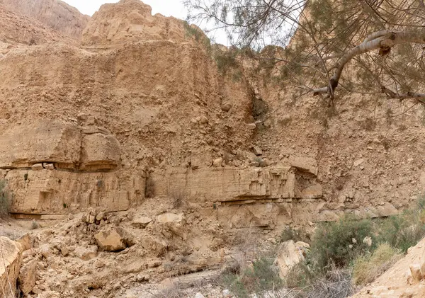 İsrail 'in güneyindeki Ölü Deniz yakınlarında Arugot Akıntısı Doğa Koruma Alanı' nın eşsiz dağ kesimleri