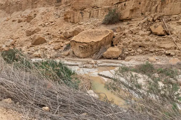 İsrail 'in güneyindeki Ölü Deniz yakınlarındaki Arugot Akımı Doğa Koruma Alanı' ndaki dağ yamaçlarında büyük kayalar var.