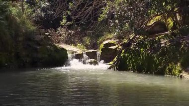 İsrail 'in kuzeyindeki Hashofet Irmağı Doğa Koruma Akımı' ndaki hızlı ve sığ Hashofet Deresi 'nde küçük bir akıntı.