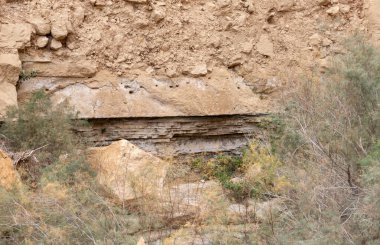 İsrail 'in güneyindeki Ölü Deniz yakınlarındaki Arugot Irmağı Doğa Koruma Alanı' nın eşsiz dağ kesimleri