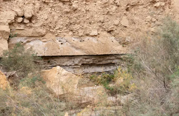 İsrail 'in güneyindeki Ölü Deniz yakınlarındaki Arugot Irmağı Doğa Koruma Alanı' nın eşsiz dağ kesimleri