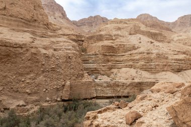 İsrail 'in güneyindeki Ölü Deniz' in yakınındaki Arugot Akıntısı Doğa Koruma Alanı 'nın eşsiz dağ kesimleri