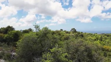 İsrail 'in kuzeyindeki Hayfa yakınlarındaki Karmel Dağı Ulusal Parkı' ndaki Shokef Dağı 'nın eşsiz doğal güzelliği.
