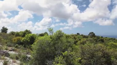 İsrail 'in kuzeyindeki Hayfa yakınlarındaki Karmel Dağı Ulusal Parkı' ndaki Shokef Dağı 'nın eşsiz doğal güzelliği.