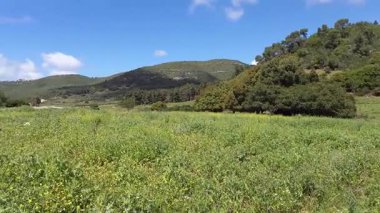 İsrail 'in kuzeyindeki Hayfa yakınlarındaki Carmel Dağı Ulusal Parkı' ndaki Shokef Dağı 'nın eşsiz doğal güzelliği.