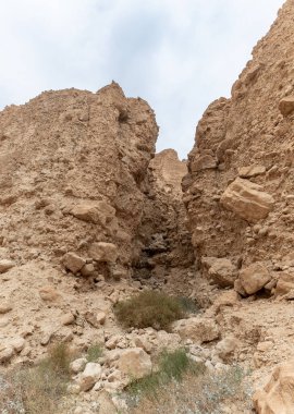 İsrail 'in güneyindeki Ölü Deniz yakınlarındaki Arugot Akımı Doğa Koruma Alanı' nın eşsiz ihtişamı.