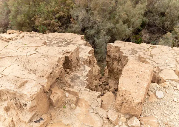 İsrail 'in güneyindeki Ölü Deniz yakınlarındaki Arugot Akımı Doğa Koruma Alanı' nın eşsiz ihtişamı.