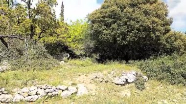 İsrail 'in kuzeyindeki Hayfa yakınlarındaki Karmel Dağı Ulusal Parkı' ndaki Shokef Dağı 'nın eşsiz doğal güzelliği.