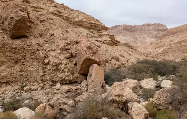 İsrail 'in güneyindeki Ölü Deniz yakınlarındaki Arugot Irmağı Doğa Koruma Alanı' nın eşsiz ihtişamı.