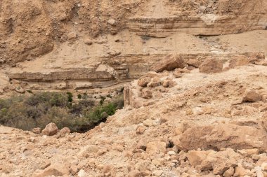 İsrail 'in güneyindeki Ölü Deniz yakınlarındaki Arugot Akımı Doğa Koruma Alanı' nın eşsiz ihtişamı.