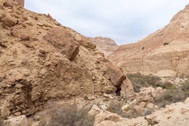 İsrail 'in güneyindeki Ölü Deniz' in yakınındaki Arugot Irmağı Doğa Koruma Alanı 'nın eşsiz ihtişamı.