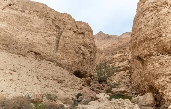 İsrail 'in güneyindeki Ölü Deniz yakınlarındaki Arugot Doğal Akımı' nın olağanüstü ihtişamı.