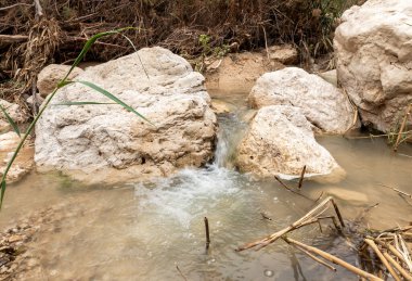 İsrail 'in güneyindeki Ölü Deniz' in yakınındaki Arugot Nehrinin aşağısındaki Doğal Rezerv 'de küçük bir şelale.
