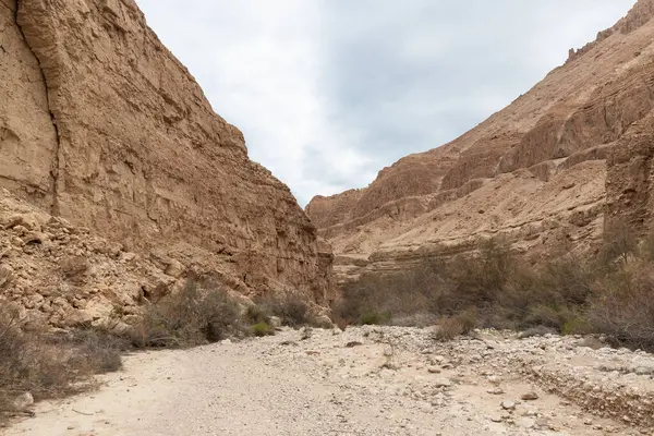 İsrail 'in güneyindeki Ölü Deniz yakınlarındaki Arugot Doğal Akımı' nın olağanüstü ihtişamı.