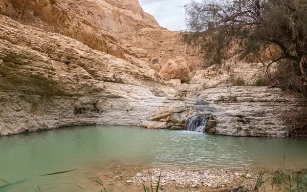 İsrail 'in güneyindeki Ölü Deniz yakınlarında Arugot Nehrinde şelalesi olan küçük bir göl.