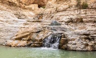 İsrail 'in güneyindeki Ölü Deniz' e yakın Arugot Nehrinde şelalesi olan küçük bir göl.