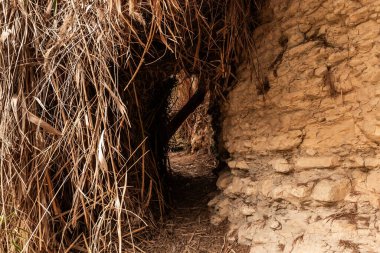 İsrail 'in güneyindeki Ölü Deniz' in yakınlarındaki Arugot Akarsu Doğa Koruma Alanı 'nda dağ yamacına yakın tırmanma tesisleriyle sarmalanmış bir geçit.